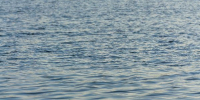 В Чите утонули два подростка - РТВ-Подмосковье