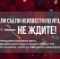 Врачи предупреждают об опасности ядовитых ягод в лесах и парках Приморья - ГТРК Владивосток