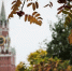 От +42 до -6: Россию накроют экстремальные погодные контрасты - ИА Хакасия