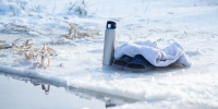 Фото: vzwer/Shutterstock/Fotodom - Ямал-Медиа