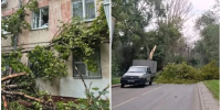 Ураганный ветер повалил несколько деревьев в Самаре 8 августа - Комсомольская Правда Самара