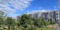 С понедельника в Кузбассе вновь начинается неделя жары - Prokopievsk.ru