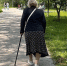 Касается всех, кому 70+: меньше ходите пешком и делайте эти 5 вещей - будете жить счастливо - Город Киров