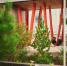 Прогноз погоды в Мурманской области на 9 августа: потепление и дожди - Вечерний Мурманск