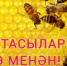 Районыбыҙҙың барлыҡ ҡортсоларын Башҡортостан Республикаһының Умартасылар көнө менән ихлас ҡотлайым! - Бурзянский район