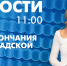 Новости Петербурга к 11:00 - tvspb.ru - ТК Санкт-Петербург