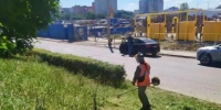 Активность пыльцы амброзии повысится в Ростовской области на следующей неделе - Панорама