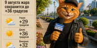 В Ростове 9 августа жара сохранится до +36 градусов - Bloknot-Rostov.Ru