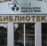Мост дружбы между Россией и Палестиной открыла Истринская библиотека в формате выставки - Истра.РФ