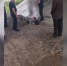 Главный полицейский Тувы задержал пьяную девушку под мостом - ИА Хакасия