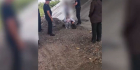 Главный полицейский Тувы задержал пьяную девушку под мостом - ИА Хакасия