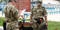 Кинологи Росгвардии со всей страны приступили к новому курсу подготовки на Урале - Росгвардия