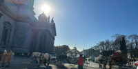 Лошадь с каретой попала в «культурную аварию с Достоевским» в Петербурге - Neva.Today