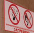 Регионы призвали полностью запретить продажу вейпов - ГТРК Татарстан