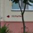 В Лискинском районе Воронежской области прозвучат сирены днем 9 августа - РИА Воронеж