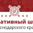 Оперштаб Краснодарского края: В результате падения обломков БПЛА в Новороссийске пострадал один человек - Город-герой Новороcсийск