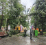 В Ульяновске ураган повалил деревья - Ulpravda.Ru