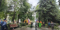 В Ульяновске ураган повалил деревья - Ulpravda.Ru