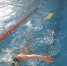 European Aquatics сможет допускать российских спортсменов к турнирам под своей эгидой с флагом и гимном - Spbdnevnik.ru