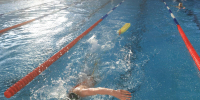 European Aquatics сможет допускать российских спортсменов к турнирам под своей эгидой с флагом и гимном - Spbdnevnik.ru