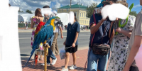 Костромичи возмущены отношением к животным на Дне города - Интернет-телевидение Логос
