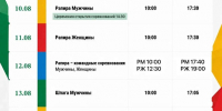 Уфа примет сильнейших фехтовальщиков России - Совет гор. округа Уфа