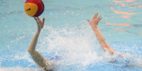 Глава European Aquatics высоко оценил выступления россиян на соревнованиях по водным видам спорта - Spbdnevnik.ru
