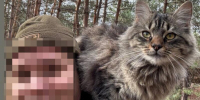 «Ваши лживые буржуи мне не нравятся. И буржуйские игры с буржуями мне не нравятся» - Столица С