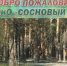 Парк «Сосновый бор» в Новосибирске отметил 50-летие - Gorsite.Ru