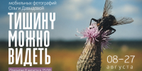 В креативном пространстве «Веранда» откроется выставка мобильных фотографий Ольги Давыдовой. - Город Курск