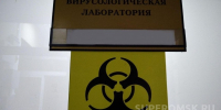 Район Омской области «зачистили» от нескольких вирусов - СуперОмск