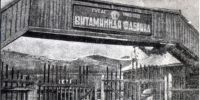 10 августа 1934 года была организована и открыта витаминная лаборатория Сануправления Дальстроя, которую возглавляла А.Г. Шульгач. - Kolyma.Ru
