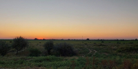 20260807_201051 - Сетевое издание Арбуз