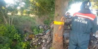 В Калининградской области авто врезалось в дерево, есть жертвы - РТВ-Подмосковье