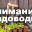 Дачники и жители ряда СНТ и посёлков в окрестностях Комсомольска должны подготовиться к подъёму воды в Амуре - Управление по делам ГОЧС
