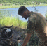 Амурские охотоведы очистили водоёмы от смертельных ловушек - gtrkamur.ru - ГТРК Амур