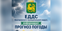 Метеорологический прогноз на 10.08.26 - Венгеровский район