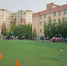 IMG_20260807_105213.png - Мирнинский район