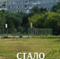 Покос травы и уборка поросли на территории микрорайона. - ТОС Омска
