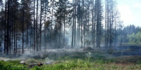 В Хабаровском крае за выходные потушили десять лесных пожаров - ИА Хабаровский край сегодня