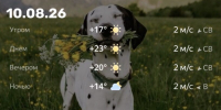 Screenshot - ЗА Новомосковск
