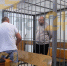 ФНС инициировала банкротство бизнесмена из Новомосковска, подозреваемого в двойном убийстве - ИА Тульская служба новостей