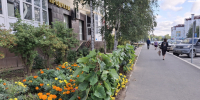 Аномально жаркое лето подарило югорчанам ранний урожай и возможность растить овощи без теплицы - РИЦ Югра