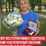 пост 2 - Cityopen.ru
