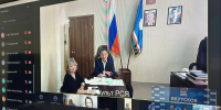 Состоялось селекторное совещание в рамках партийного проекта «Культура малой Родины» - Единая Россия