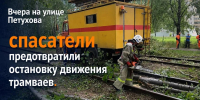 Два дерева рухнули на трамвайные пути в Новосибирске - Сиб.фм