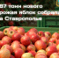 фото с группы в ВК Правительства региона. - НИА-Кавказ - Ставрополь