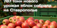 фото с группы в ВК Правительства региона. - НИА-Кавказ - Ставрополь