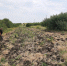 В Ставрополе завершили второй этап противопожарной опашки - ATVmedia.Ru