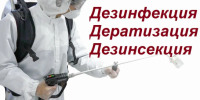 О дератизационных мероприятиях - Город Чулым